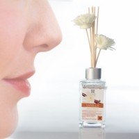 AMBIENTADOR 100ML