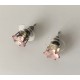 Pendientes Corona