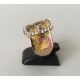 Anillo CInturón