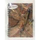 Diario Mapa