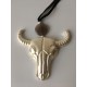 Collar Cowboy