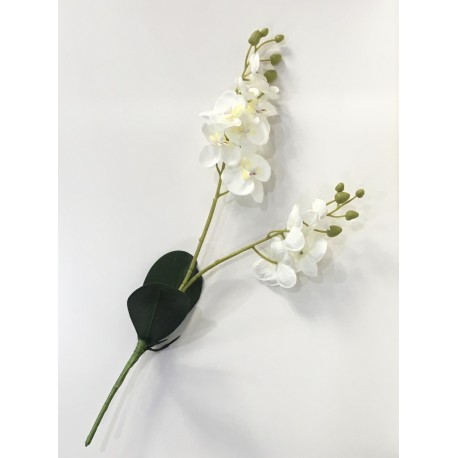 Orquídea Ramo