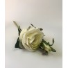 Rosa Blanca