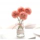 Flor Alice