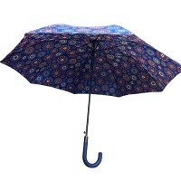 Paraguas Azul Flores Colores