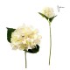 hortensia-blanca