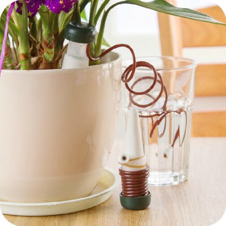 Regar Plantas Verano